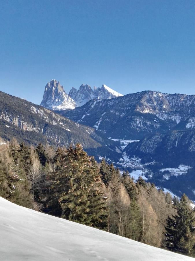 Alpine Chalet Aurora Dolomites Лайон Екстер'єр фото